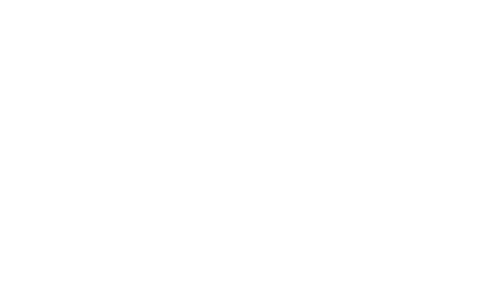 riskho2